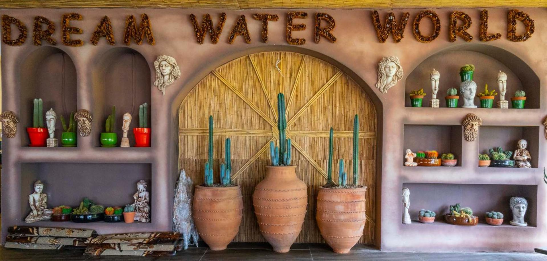 Dream Water World
